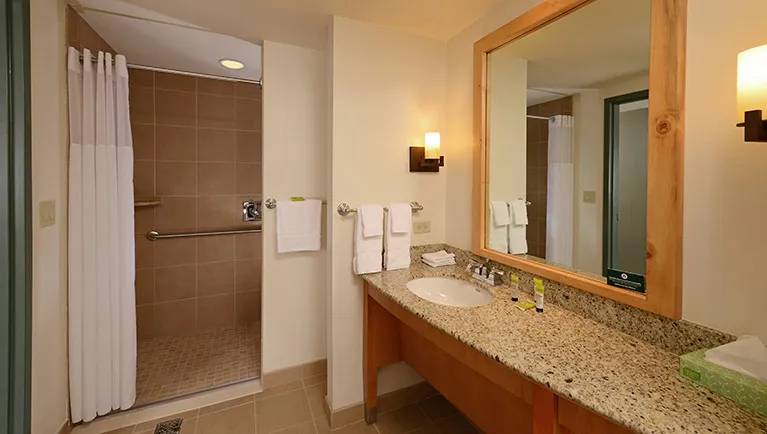 The accessible shower in the Wolf Pup Den Suite